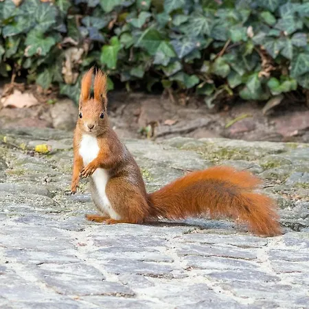 Apartamento Centrum-solidarnosci